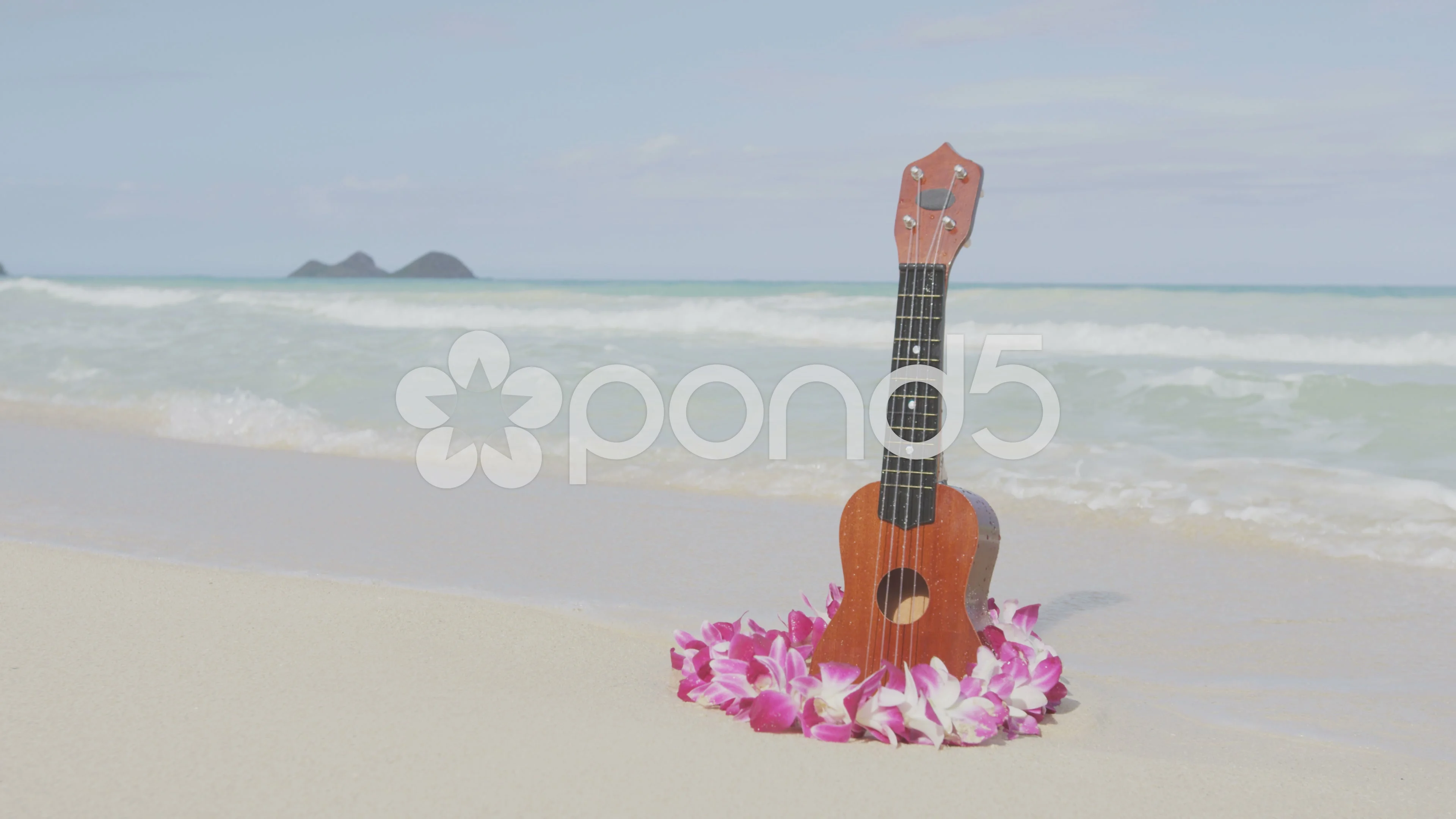 Hawaii and Lei on b... | Stock Video | Pond5
