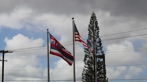 Hawaii Flag moving in the wind Stock Footage 140760519