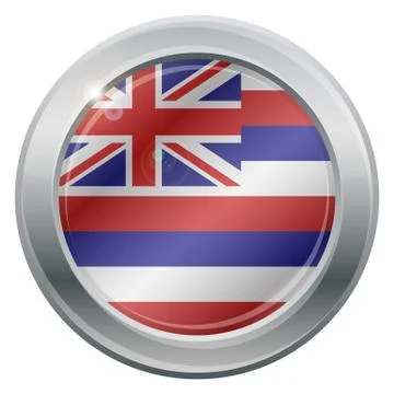 Hawaii Flag Silver Icon Stock Illustration