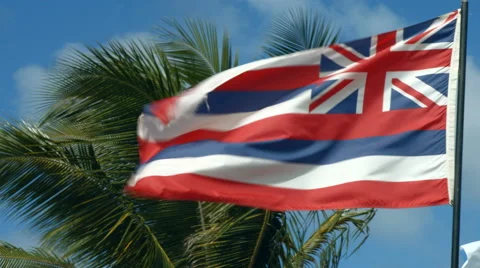 Hawaii Flag Waving In The Wind Stock Footage 57659889