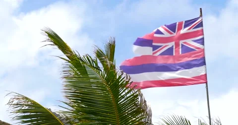Hawaii Flag Waving In The Wind Stock Footage 66554395