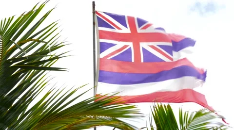 Hawaii Flag Waving In The Wind Stock Footage 66644800