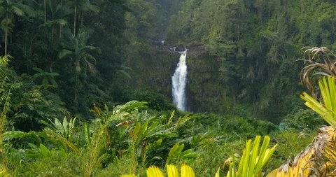 Hawaii Video stock 86607025