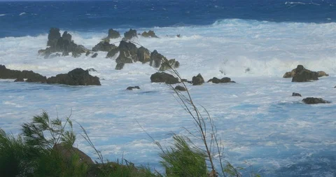 Hawaii Stock Footage 86607798