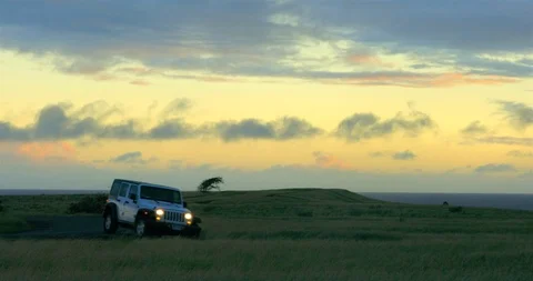 Hawaii Stock Footage 86611837