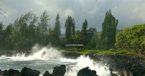 Hawaii Video stock 86611888