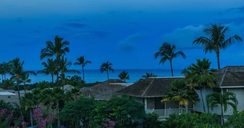 Hawaii Stock Footage 86613783