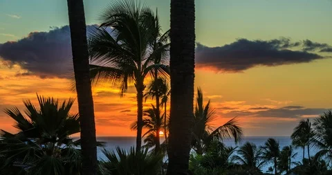 Hawaii Video stock 86614287