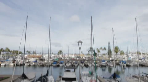 Hawaii Harbor Video stock 40268616