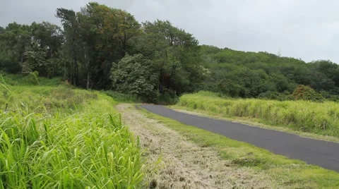 Hawaii island Video stock 44972561