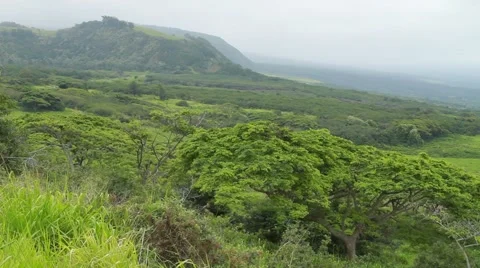 Hawaii island Video stock 44972812