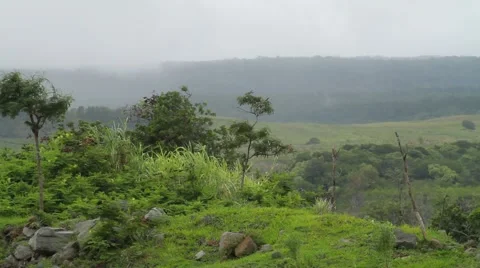 Hawaii island Video stock 44973015