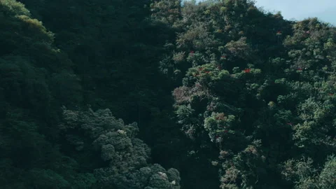 Hawaii Island Stock Footage 320359449