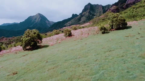 Hawaii Island Stock Footage 320359844
