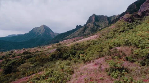 Hawaii Island Stock Footage 320360078