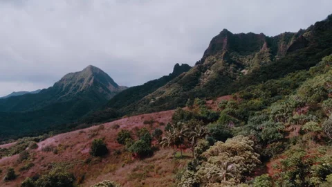 Hawaii Island Stock Footage 320360129