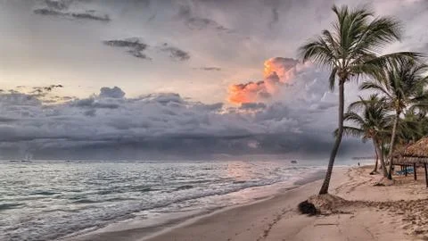 Hawaii island palms beach. Turquoise sea and blue sky. Palm trees beach vacation Stock Photos