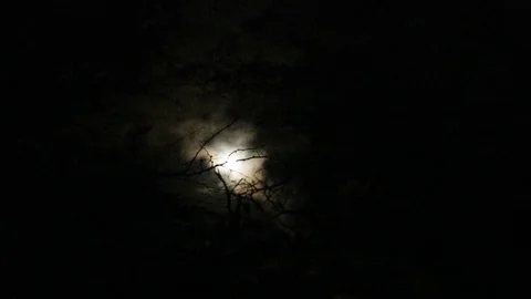 Hawaii moon in the sky Stock Footage 101621794