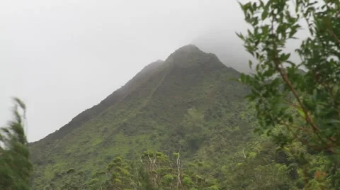 Hawaii Mountain in background Video stock 45920040
