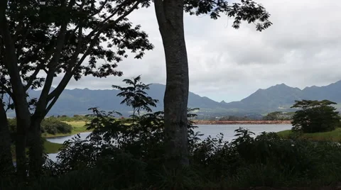 Hawaii mountain landscape Stock Footage 40667395