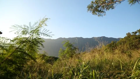 Hawaii Mountains Stock Footage 93593619
