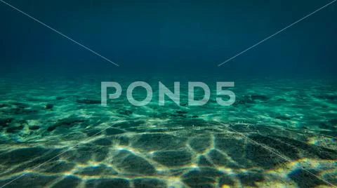 Hawaii Ocean Floor Stock Photos