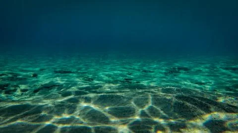 Hawaii Ocean Floor Stock Photos