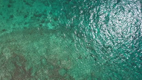Hawaii ocean Vidéo 214167984