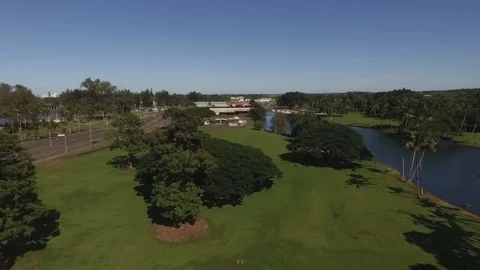 Hawaii Park Fly Up Drone Shot Stock Footage
