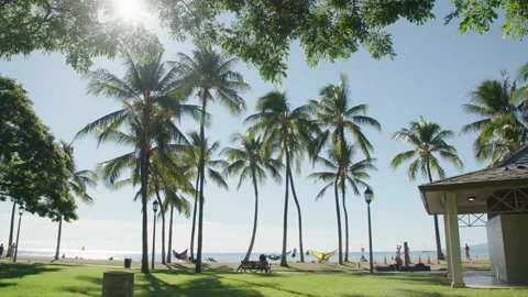 Hawaii park Vidéo 172228865