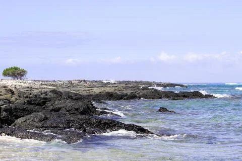 Hawaii Stock Photos