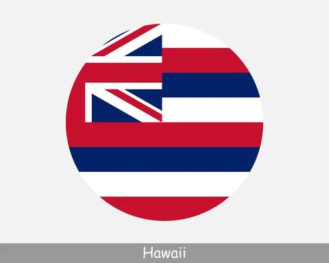 Hawaii Round Flag Stock Illustration
