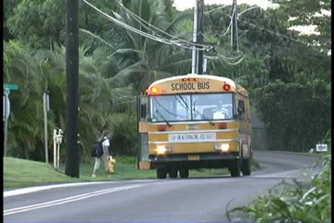 Hawaii school bus Stock Footage 8921818