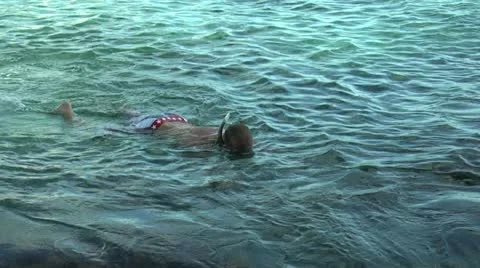 Hawaii Snorkling Stock-Footage 10884916