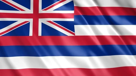 Hawaii State Flag Stock Footage 123963909