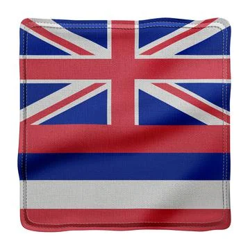 Hawaii State flag Stock Illustration