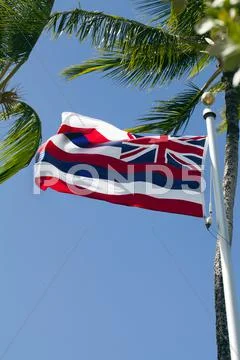 Hawaii state flag on pole with palm trees Stock Photos