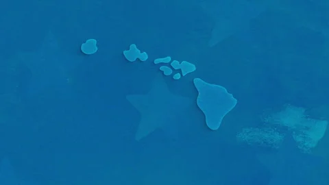 Hawaii State Map with Blue Dotted Texture Stock-Footage 347264679
