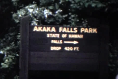 Hawaii State Park Stock Footage 24701394