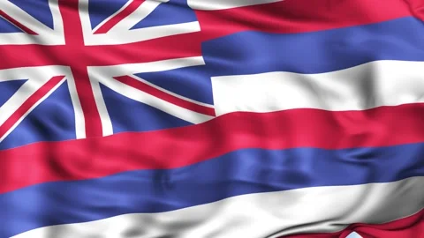 Hawaii State Waving Flag Background Stock Footage 204138405