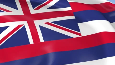 Hawaii State Waving Flag Background Loop Stock Footage 317846201