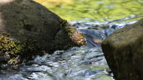 Hawaii-stream3 動画素材 7904948