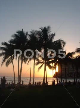 Hawaii Sunset Stock Photos