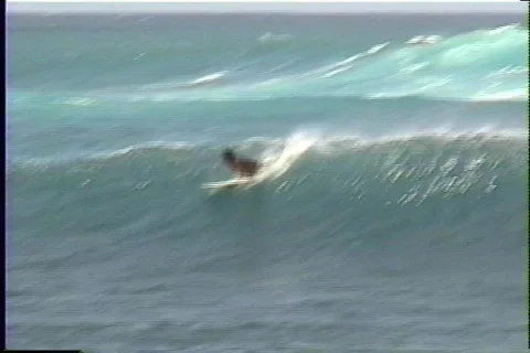 Hawaii Surfer 動画素材 508934