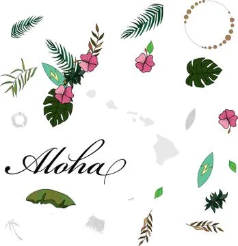 Hawaii themed vector illustrations elements Stock Illustration