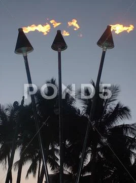 Hawaii Torch Stock Photos