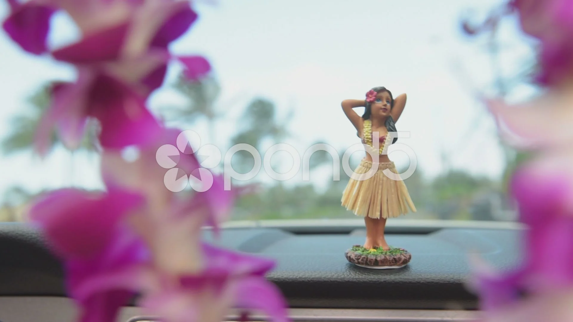 Hawaii travel car - Hula girl dancing an, Stock Video