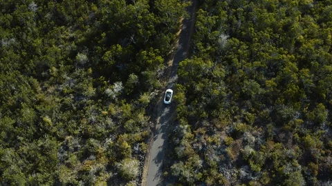 Hawaii, USA - The much anticipated Tesla Model 3 electric vehicle driving on Stock Footage