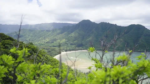 Hawaii valley Stock Footage 264627501