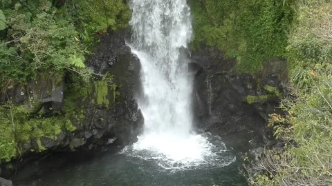 Hawaii waterfall Stock Footage 88195894